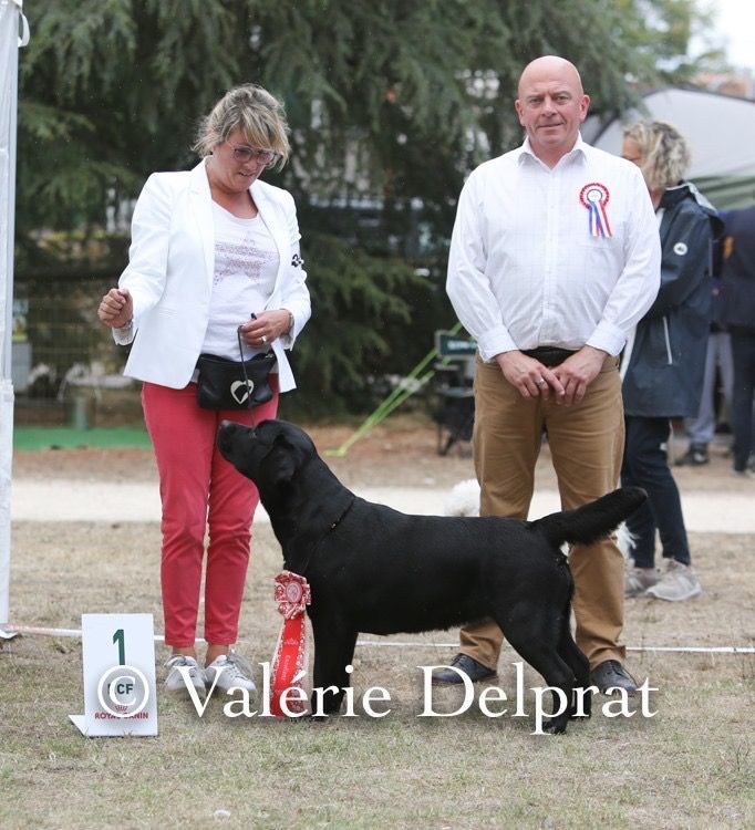 CH. Naiade de la Tour Farmina